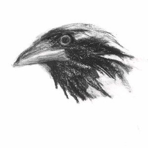 Meet your Posher, Ethan